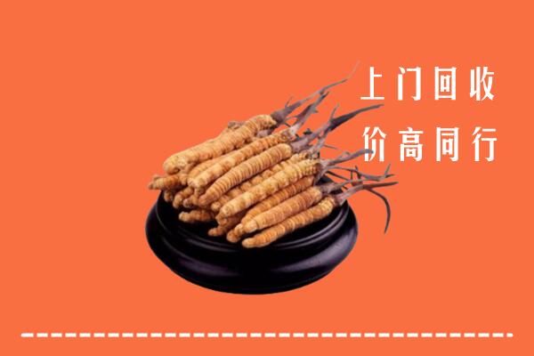 高价求购：沿滩区回收散虫草