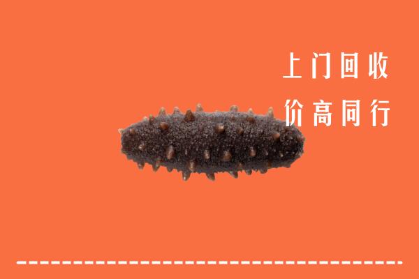 高价求购：沿滩区回收海参