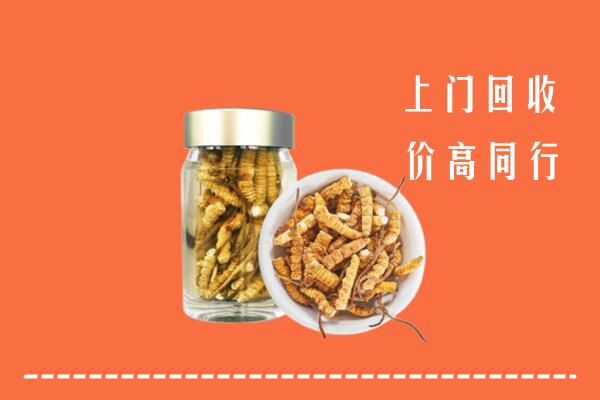 沿滩区回收冬虫夏草